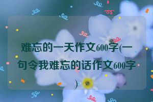难忘的一天作文600字(一句令我难忘的话作文600字)