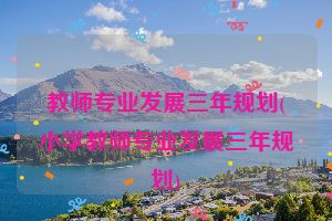 教师专业发展三年规划(小学教师专业发展三年规划)