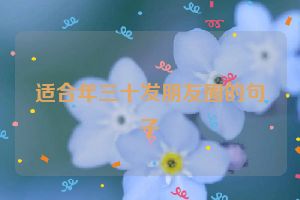 适合年三十发朋友圈的句子