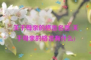 关于母亲的格言名言(关于母亲的格言有什么)