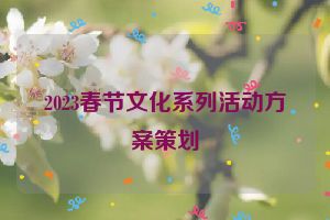2023春节文化系列活动方案策划