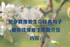 爱你就像爱生命经典句子(爱你就像爱生命简介及内容)