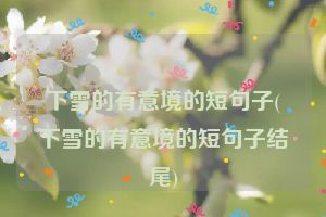 下雪的有意境的短句子(下雪的有意境的短句子结尾)