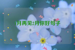 1月再见2月你好句子