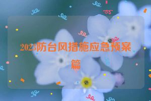 2023防台风措施应急预案篇
