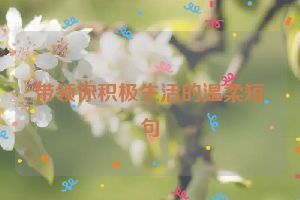 带领你积极生活的温柔短句