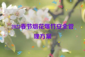 2023春节烟花爆竹安全管理方案