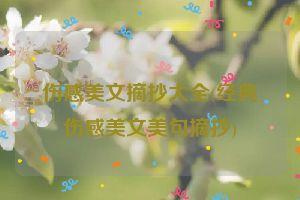 伤感美文摘抄大全(经典伤感美文美句摘抄)