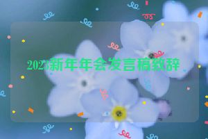 2023新年年会发言稿致辞