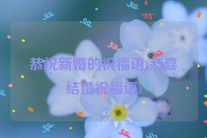 恭祝新婚的祝福语(恭喜结婚祝福语)