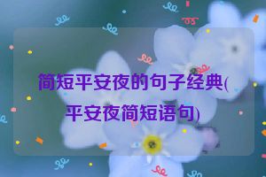简短平安夜的句子经典(平安夜简短语句)