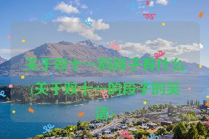 关于双十一的段子有什么(关于双十一的段子的笑话)