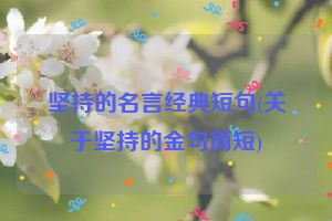 坚持的名言经典短句(关于坚持的金句简短)