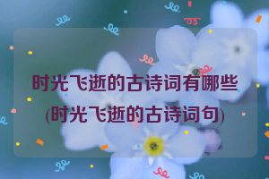 时光飞逝的古诗词有哪些(时光飞逝的古诗词句)