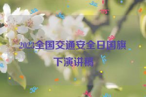2023全国交通安全日国旗下演讲稿
