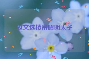 过文选楼吊昭明太子