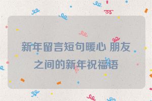 新年留言短句暖心 朋友之间的新年祝福语