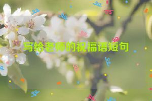 写给老师的祝福语短句