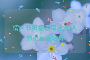 情人节祝福语精选 情人节祝福语短句
