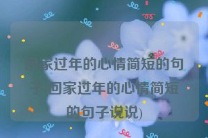回家过年的心情简短的句子(回家过年的心情简短的句子说说)