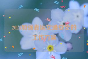 2023加强春运交通安全的工作方案