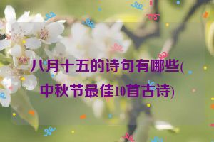 八月十五的诗句有哪些(中秋节最佳10首古诗)