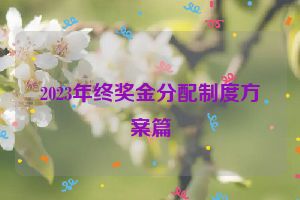 2023年终奖金分配制度方案篇