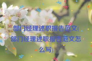 部门经理述职报告范文(部门经理述职报告范文怎么写)
