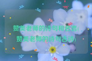 赞美老师的诗句和名言(赞美老师的诗句古诗)