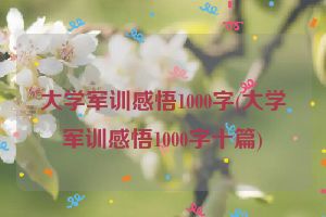 大学军训感悟1000字(大学军训感悟1000字十篇)