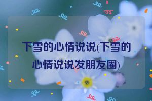 下雪的心情说说(下雪的心情说说发朋友圈)
