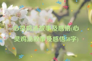 心灵鸡汤故事及感悟(心灵鸡汤故事及感悟50字)