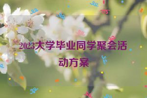 2023大学毕业同学聚会活动方案