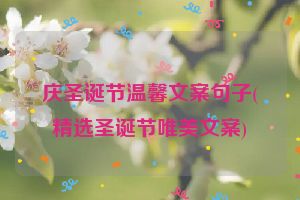 庆圣诞节温馨文案句子(精选圣诞节唯美文案)