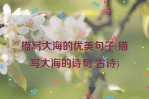 描写大海的优美句子(描写大海的诗句 古诗)