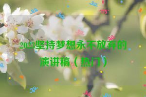 2023坚持梦想永不放弃的演讲稿（热门）