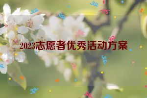 2023志愿者优秀活动方案