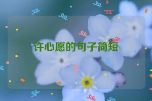 许心愿的句子简短