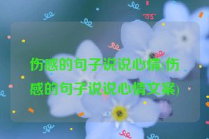 伤感的句子说说心情(伤感的句子说说心情文案)
