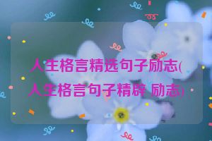 人生格言精选句子励志(人生格言句子精辟 励志)