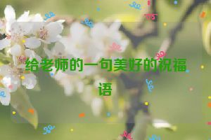 给老师的一句美好的祝福语