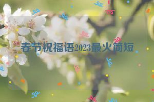 春节祝福语2023最火简短