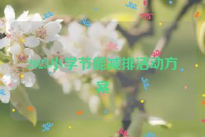 2023小学节能减排活动方案