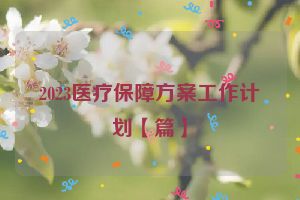 2023医疗保障方案工作计划【篇】