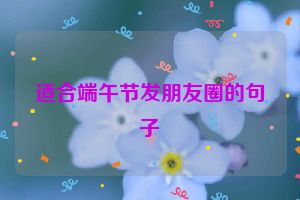 适合端午节发朋友圈的句子