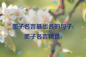 墨子名言最出名的句子(墨子名言精选)