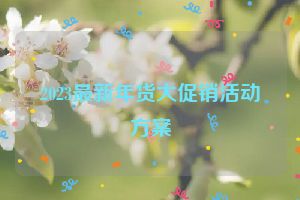 2023最新年货大促销活动方案