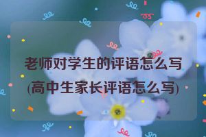 老师对学生的评语怎么写(高中生家长评语怎么写)