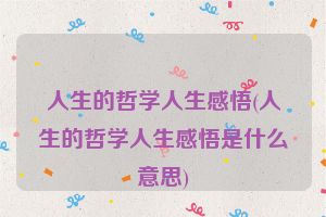 人生的哲学人生感悟(人生的哲学人生感悟是什么意思)