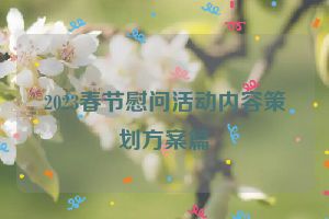 2023春节慰问活动内容策划方案篇